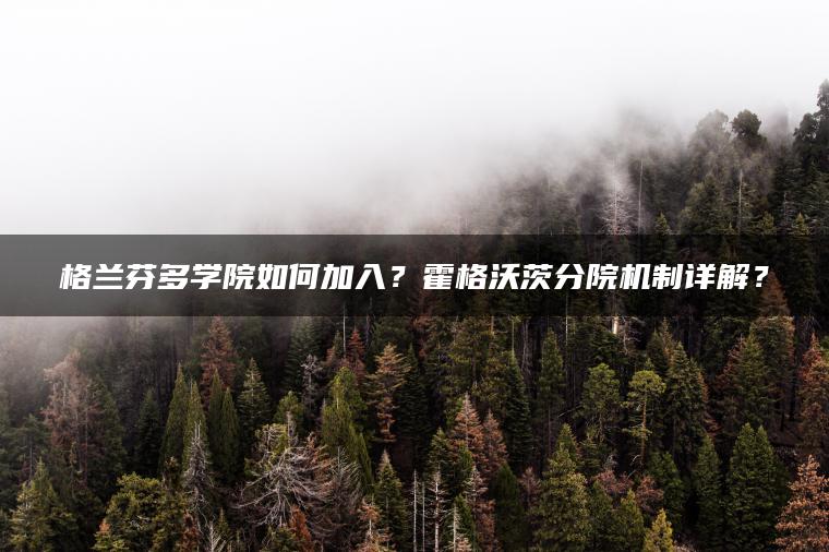 格兰芬多学院如何加入？霍格沃茨分院机制详解？