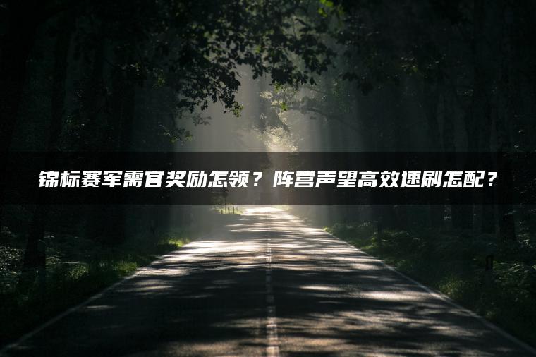 锦标赛军需官奖励怎领？阵营声望高效速刷怎配？