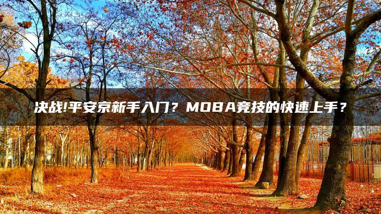 决战!平安京新手入门？MOBA竞技的快速上手？