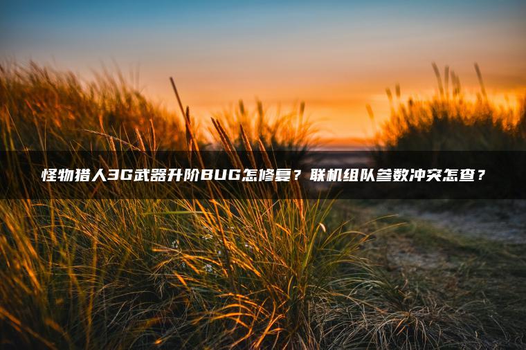 怪物猎人3G武器升阶BUG怎修复？联机组队参数冲突怎查？