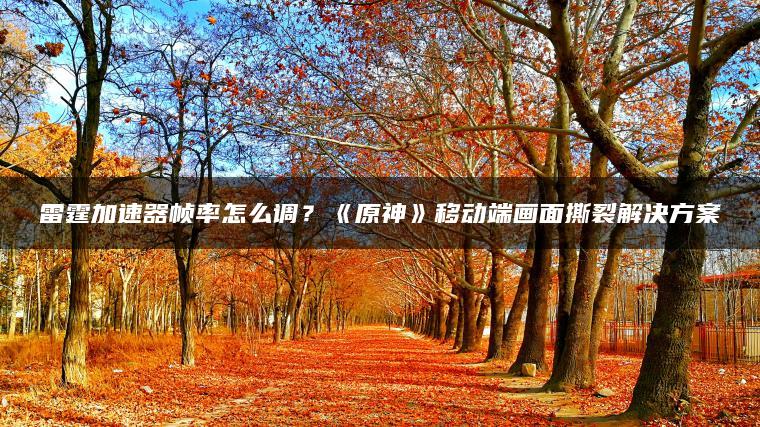 雷霆加速器帧率怎么调？《原神》移动端画面撕裂解决方案