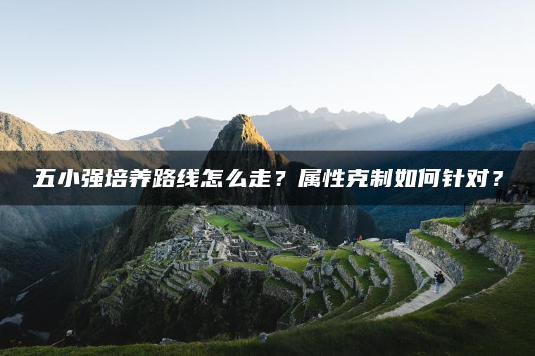 五小强培养路线怎么走？属性克制如何针对？