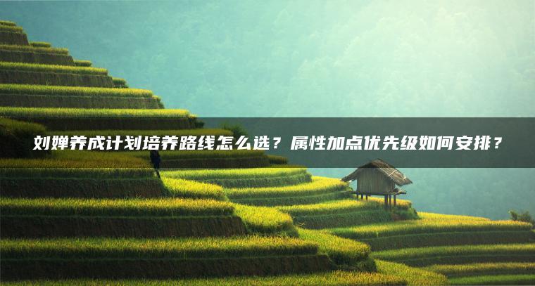 刘婵养成计划培养路线怎么选？属性加点优先级如何安排？