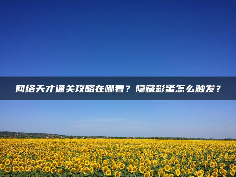 网络天才通关攻略在哪看？隐藏彩蛋怎么触发？